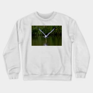 Seagull walks on water Crewneck Sweatshirt